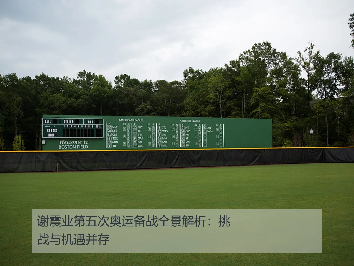 谢震业第五次奥运备战全景解析:挑战与机遇并存